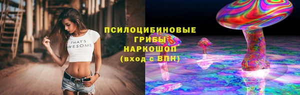 ПСИЛОЦИБИНОВЫЕ ГРИБЫ Алексин