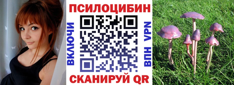 цены   Карталы  Псилоцибиновые грибы Magic Shrooms 