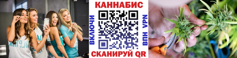 купить  сайты  Карталы  Бошки марихуана индика 
